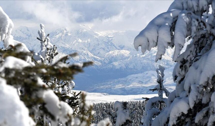 Erzurum, Ardahan, Kars ve Ağrı'da dondurucu soğuk hava etkili oluyor.