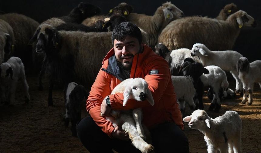 Üniversiteli genç, devlet desteğiyle başladığı hayvancılıkta söz sahibi olmak istiyor