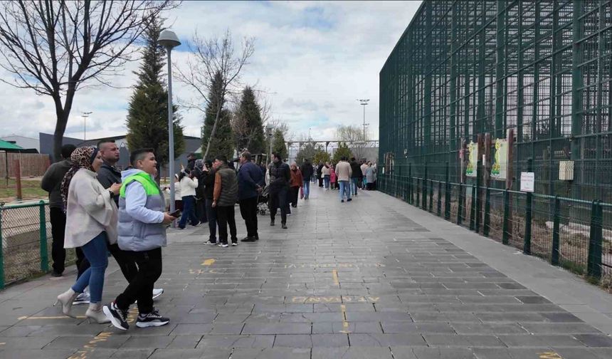 Bayramda Hayvanat Bahçesi'nde Büyük Oran : 40 Bin Kişi Ziyaret Etti