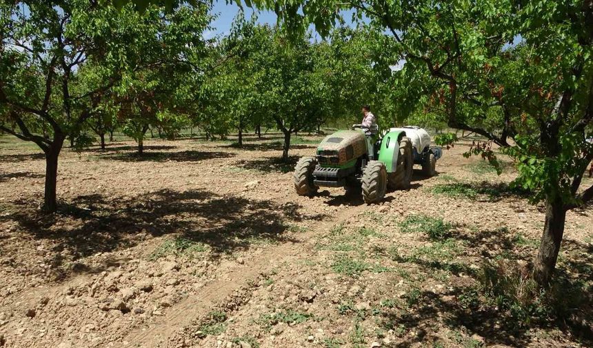 Kayısı Üreticileri Dikkat! Bunlara Çok Dikkat Edin...