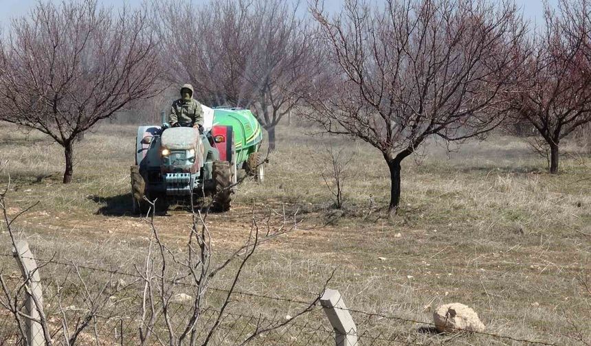 Malatya Kayısısının En Büyük Düşmanı! Kritik 2 Ay Başladı