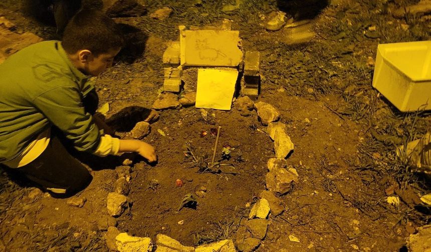 Nusaybin’de Duygulandıran Anlar: Çocuklar, Trafik Kurbanı Kediyi Defnetti