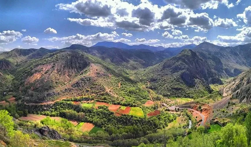 Malatya’da Ağaç Kayboldu Yerinde Göl Ortaya Çıktı