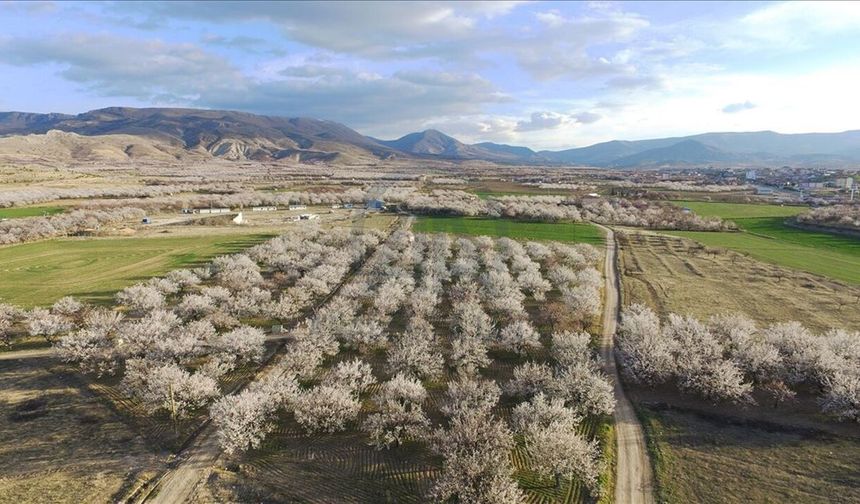 Malatyalılar Yeni Sezonda Kaliteyi Renk Kodlarından Anlayacak!