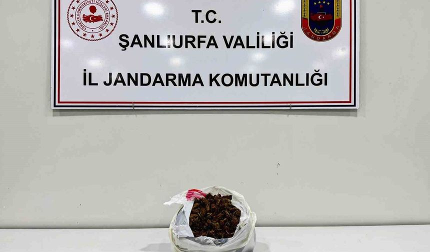 Şanlıurfa'da Şüpheli Araçta 1 Kilo Uyuşturucu Ele Geçirildi: 2 Gözaltı