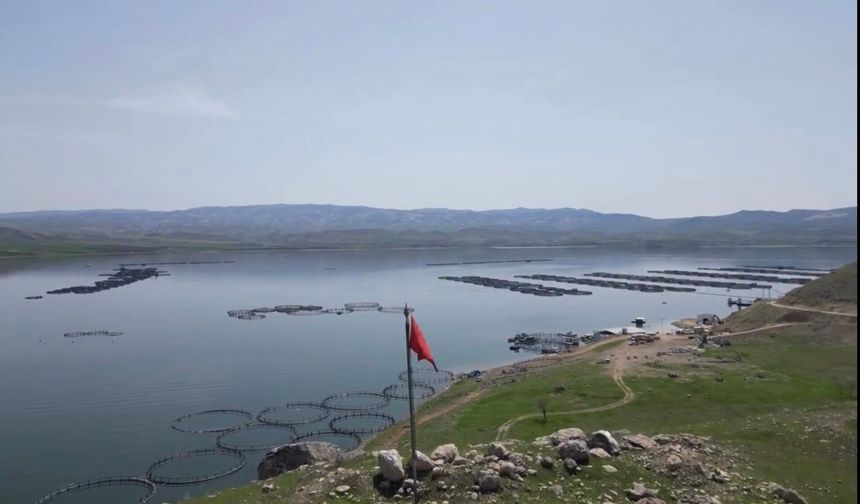 Malatya Ekonomisine Büyük Katkı: Alabalık Üretimi 7 Bin 500 Tona Ulaştı