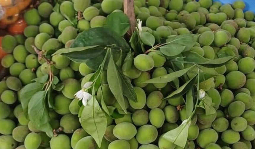 Kayısı Çiçek Açtı, Çağla Tezgâha Geldi! Fiyatlar Dikkat Çekti