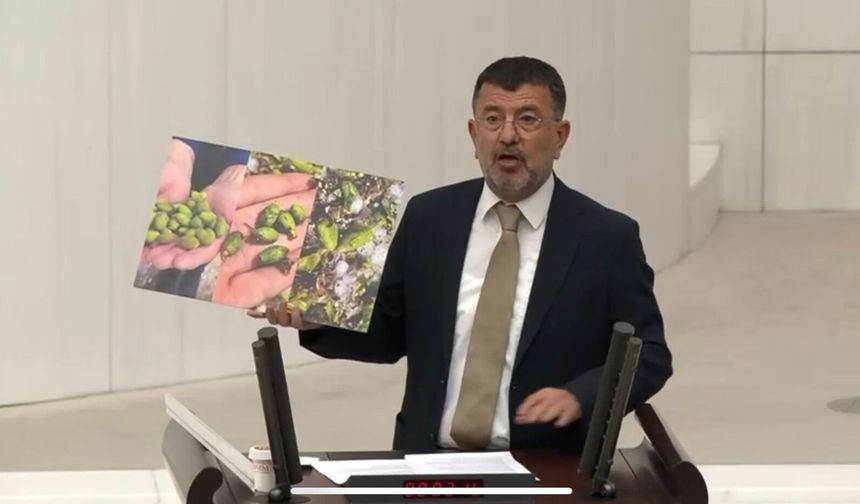 Kayısıda Büyük Yıkım! Ağbaba Meclis’te Uyardı: “Don, Dolu Yetmedi Bir de Faiz Afeti Var”