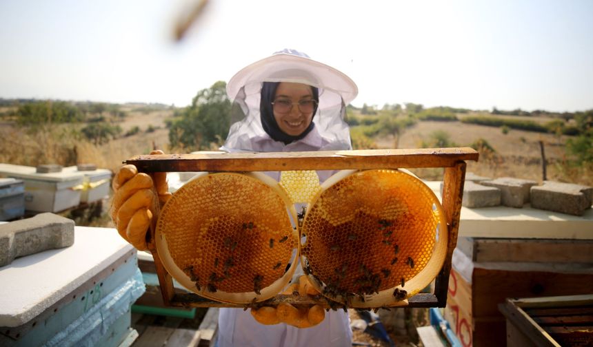 Türkiye’nin bal ihracatı 31 ülkeye ulaştı: 9,2 milyon dolar gelir