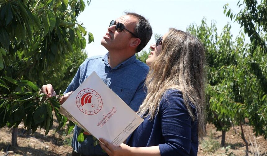 Zirai Don Raporu Tamamlandı: Tarım İçin Kapsamlı İklim Uyum Planı Önerisi