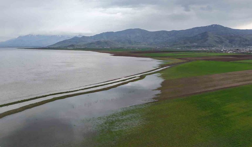 Keban Baraj Gölü'nün 7 yıl sonraki görüntüleri görenleri hayrete düşürdü