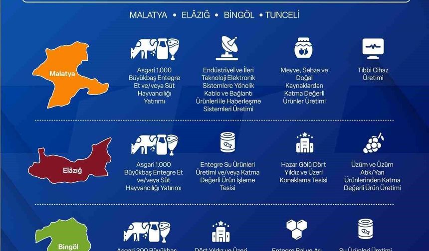 Malatya’nın da Yer Aldığı TRB1 Bölgesine 301 Milyon TL’lik Yatırım Teşviki