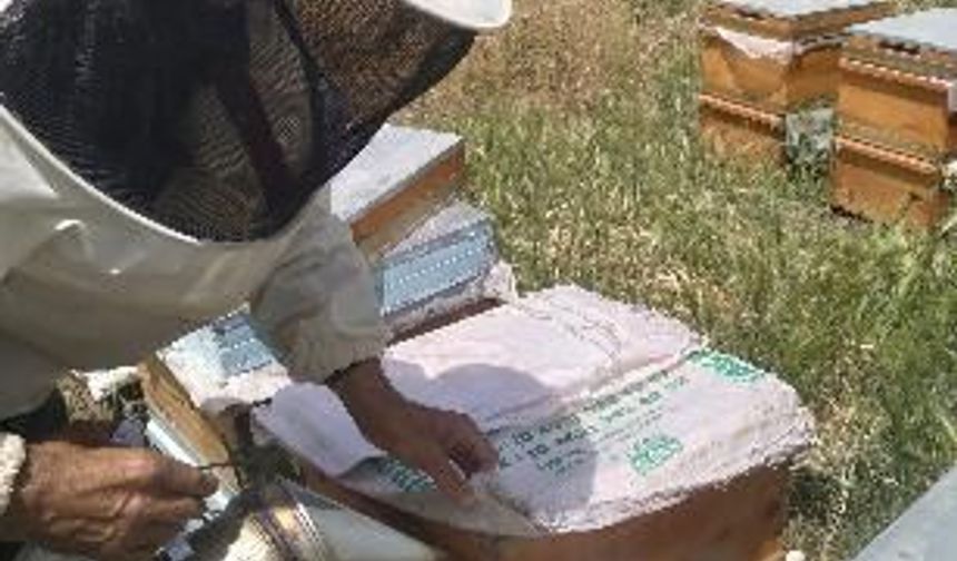 Kaynağı Malatya'da Bulunuyor...Bilim İnsanları ''Gençlik İksiri'' Üzerine Araştırma Yaptı