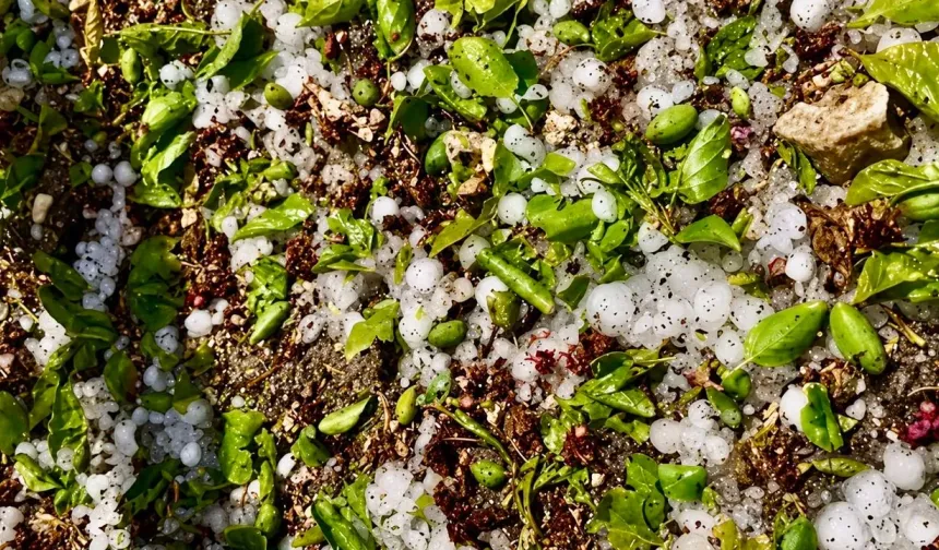 Malatya'da Dolu Hasarı Beklendiği Gibi Çıkmadı, Asıl Tehlike Başka