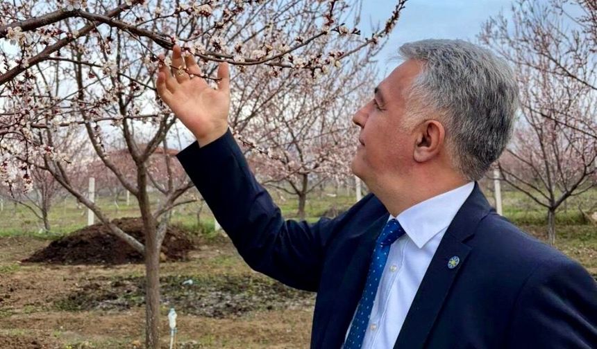 Dolu Afeti Kayısıyı Vurdu! Dakikalar İçinde Büyük Kayıp