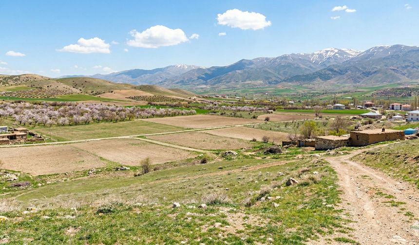 Malatya'da KDV ve Vergisiz Fiyatlarla Devlete Ait Arsalar Satışa Çıkıyor!