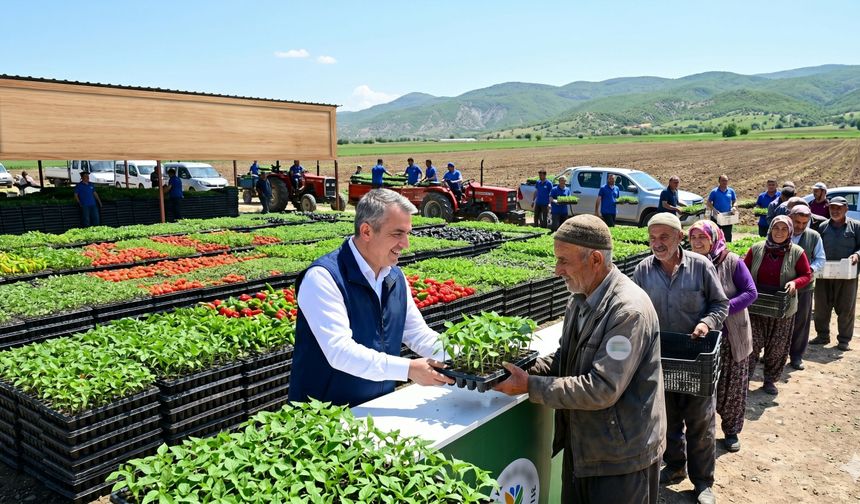 Malatya'da 300 Bin Adet Ücretsiz Fide Dağıtılacak! Tarih Belli Oldu