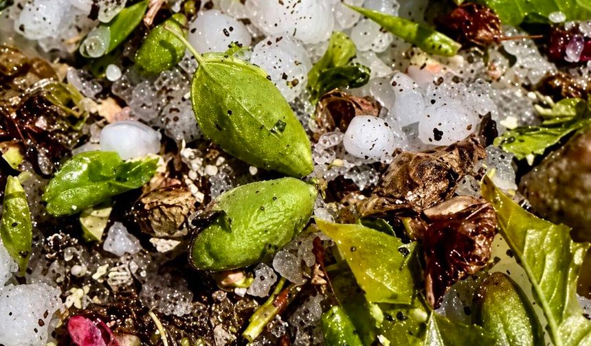 Malatya Valiliği'nden Dolu Afeti Açıklaması: 9 İlçede O Mahalleler Tek Tek Açıklandı!