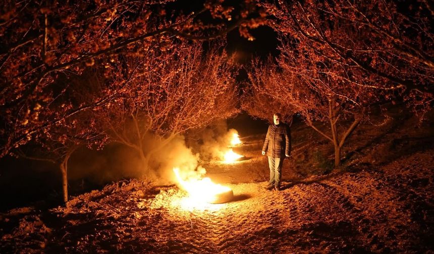 Malatya'da Uykusuz Gece: Milyarlık Kayısı İçin Sabaha Kadar 'Don' Nöbeti!