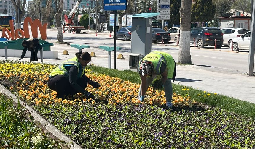 Malatya Renkleniyor: Şehir Bahara Çiçeklerle Uyandı