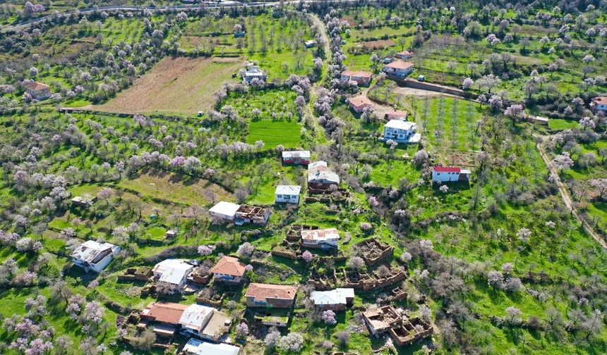 Burası Karadeniz Değil Malatya: Fırat'ın Kalbinde Saklı Kalan Güzellik