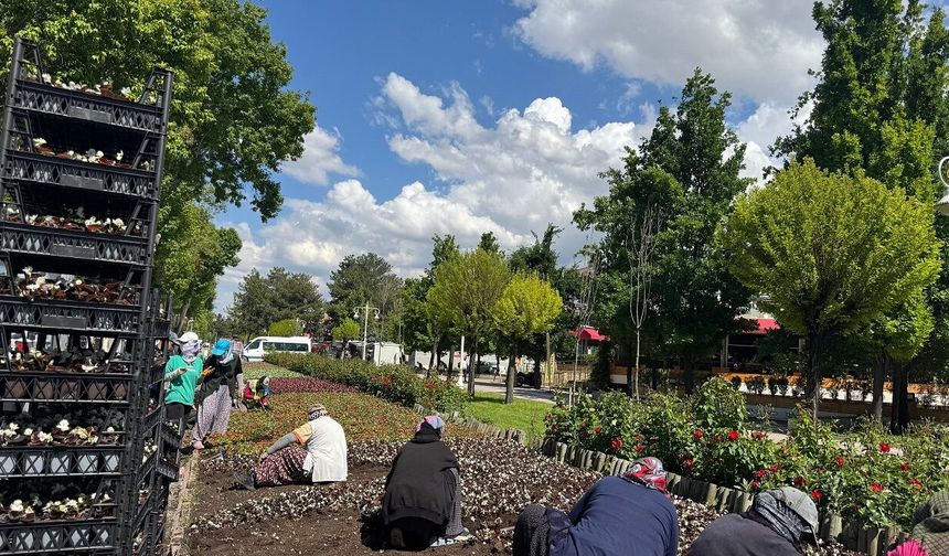 Malatya’nın En İşlek Noktaları Çiçek Bahçesine Döndü