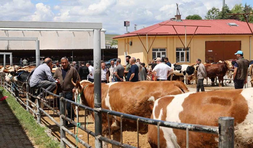 Elazığ Hayvan Pazarı'nda Arife Günü Yoğunluğu