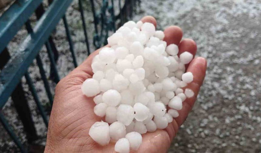 Malatya'da Dolu Felaketi! Kayısı Üreticisi Çağla Döneminde Vuruldu