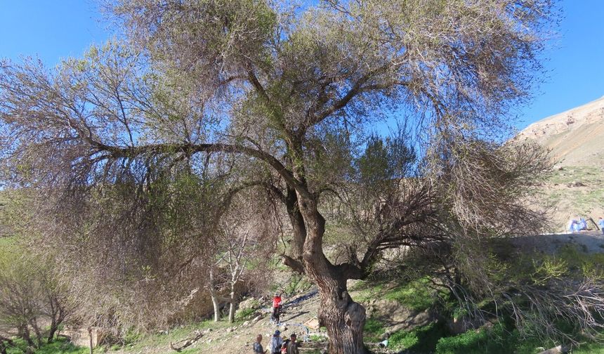Malatya'da Heyecanlandıran Keşif! 250 Yıldır Gizli Kalmış