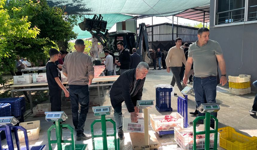 Malatya'da Kurban Kesim Telaşı: Belirlenen Noktalarda Yoğunluk Zirvede!
