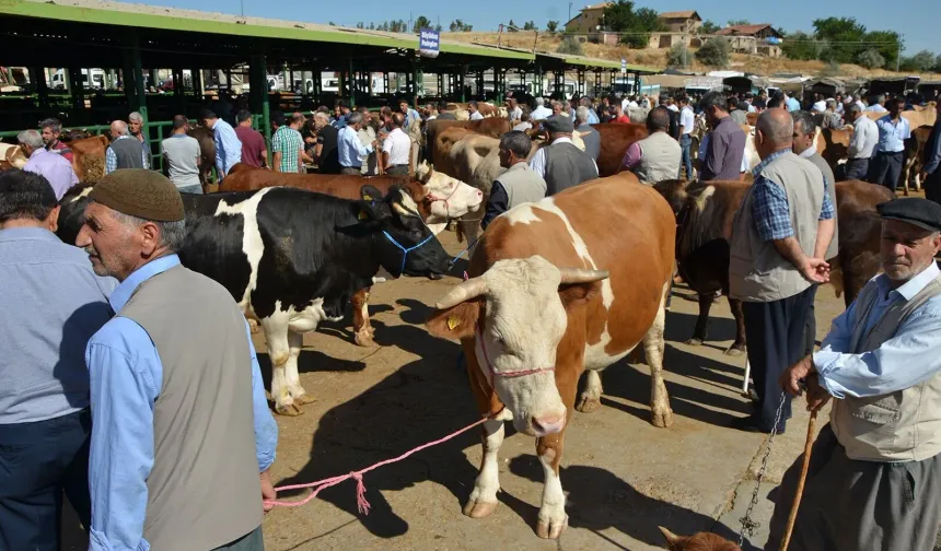 Malatya'da Kurban Kampanyası Başladı! 26 Mayıs Son