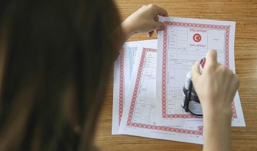 Yol Kenarı Arazi Arayanlar Dikkat! Yeşilyurt'taki O Taşınmaz İcradan Satılacak