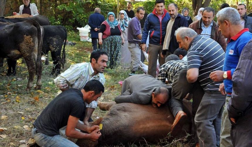 Malatya'da Ücretsiz Kurban Kesim Kursu İçin Son 2 Gün