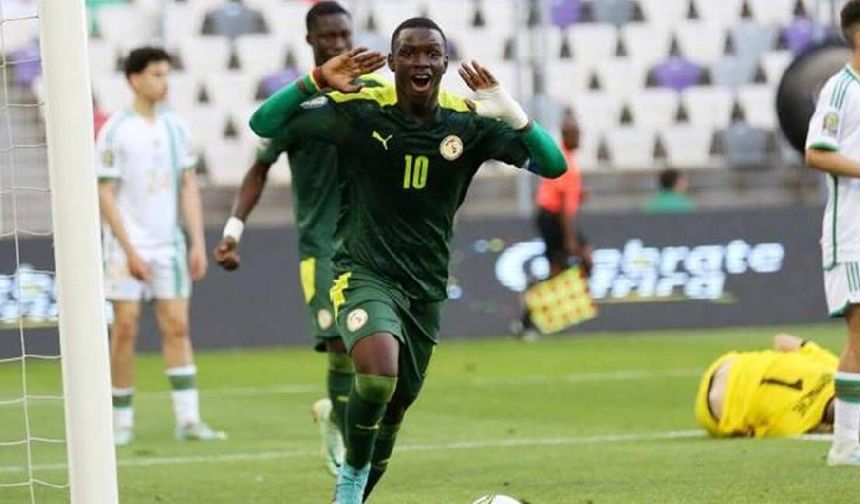Amara Diouf Kimdir? Fenerbahçe’nin Yeni Transferi
