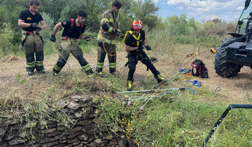 Diyarbakır'da su kuyusunda mahsur kalan yaban domuzu için ekipler seferber oldu