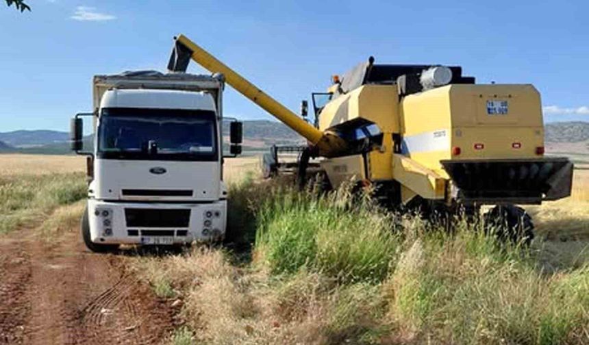 Bölgenin Tahıl Ambarında Sezonun İlk Hasadı Yapıldı! İşte 2026 Yılı Arpasının İlk Satış Fiyatı