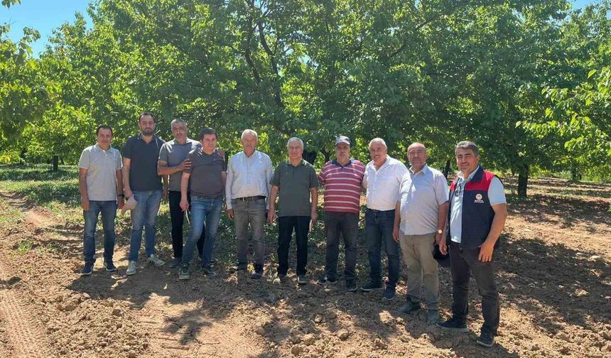 Malatya’da 2026 Kayısı Rekoltesi İçin Saha Çalışmaları Hızlandı: Sonuçlar Yakında Açıklanacak