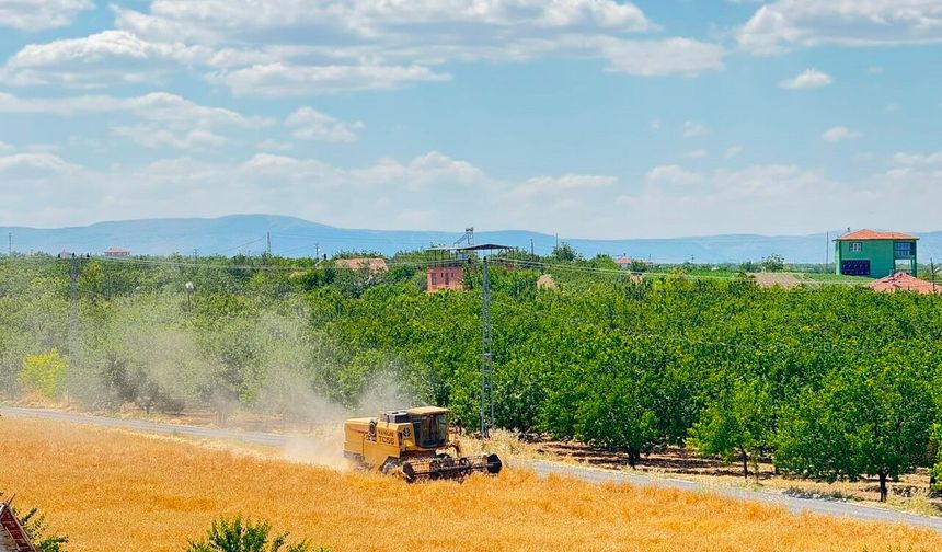 Malatya’da Buğday Hasadı Başladı! Tarlaya Gidenler Dikkat: Bu Kurallara Uymayana Ceza Var