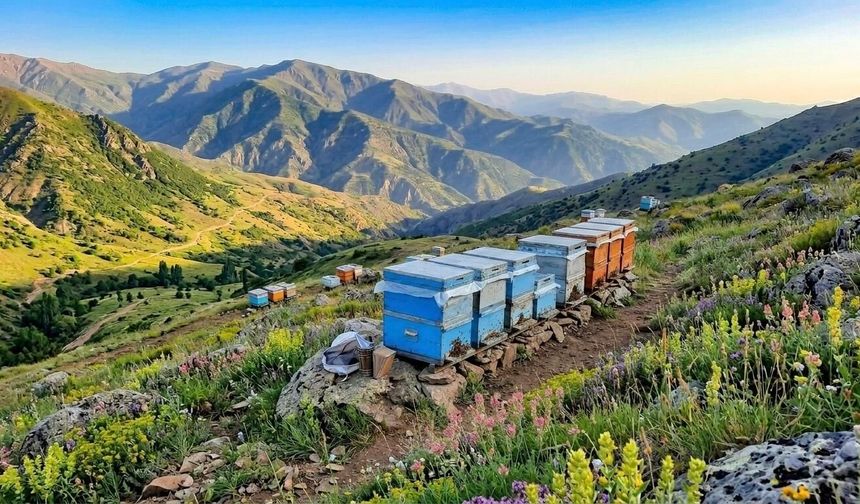 Malatya’da sessiz göç başladı! Binlerce arı dağların yolunu tuttu