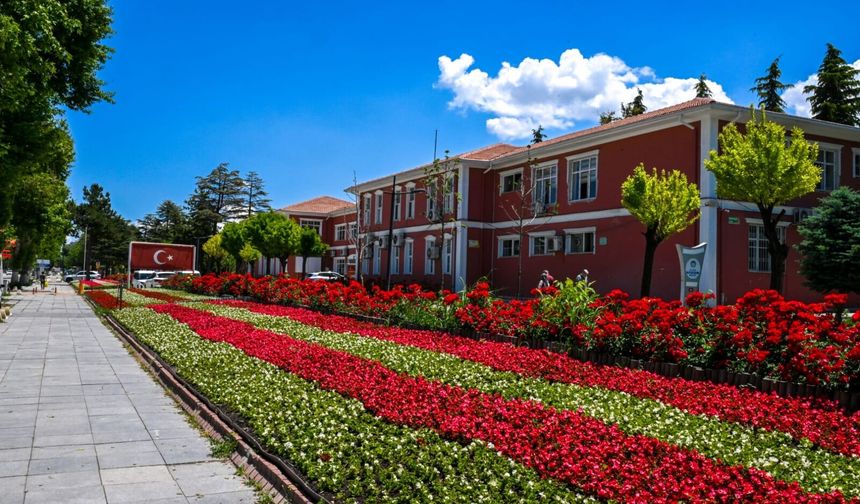 Malatya Rengarenk: Büyükşehir'den Şehre 831 Bin Çiçeklik Estetik Dokunuş!