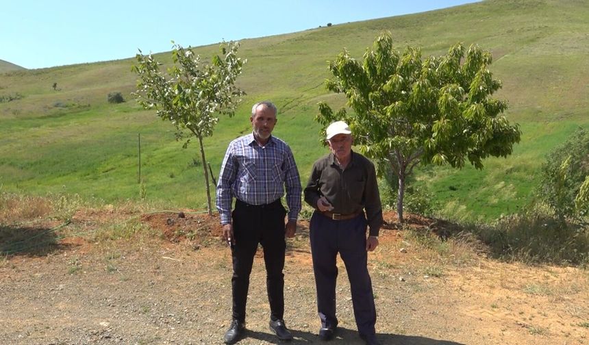 Malatya’nın Yayla Evlerinde İletişim Sorunu: Vatandaşlar Çözüm Bekliyor