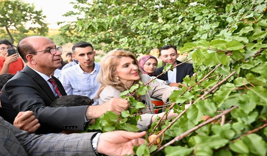Kayısı bahçelerinde bu kez ders zili çaldı! Çocuklar için gezici eğitim başladı