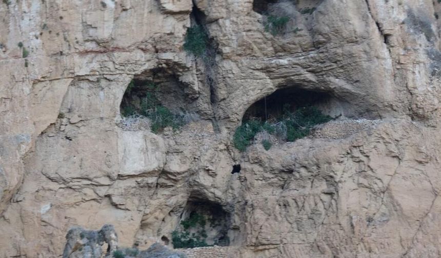 Malatya'da Bir Mağarada İnsan Kemikleri Bulundu