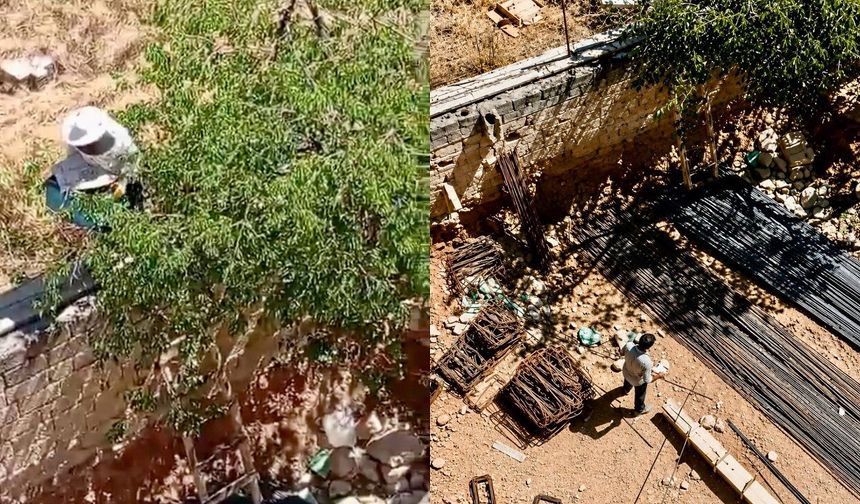 Battalgazi’de inşaat alanında arı istilası: İşçiler çalışmayı bırakıp kaçtı!