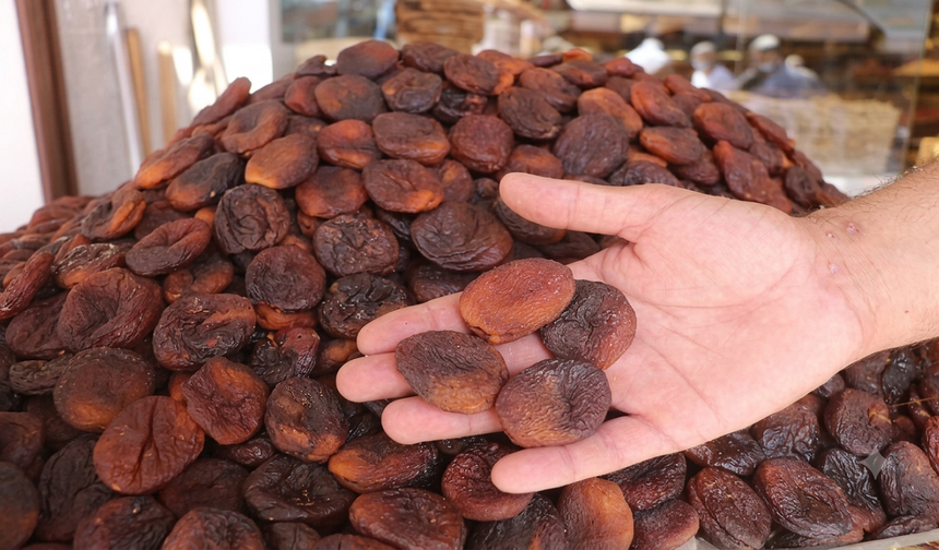 Sabahları 1 Tane Yetiyor! Malatya’nın Meşhur Kayısısı Bakın Vücuda Ne Katıyor