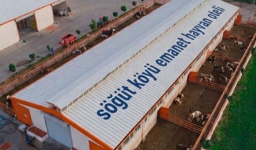 Malatya'ya Hayvan Oteli Kuruluyor! Gurbetçilerin Büyük Sorununa Çözüm Olacak