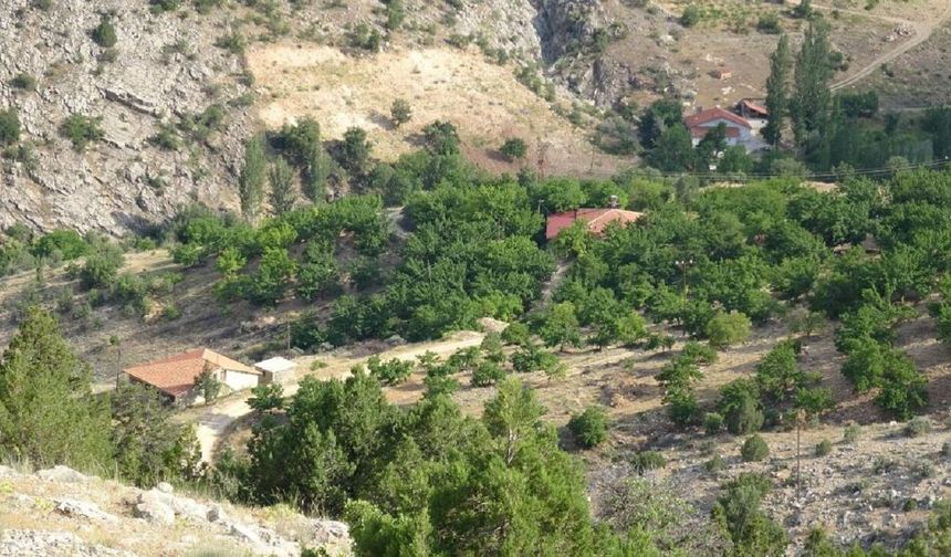 Malatya'da Aylar Önce Kaybolan Kadın Hâlâ Aranıyor...