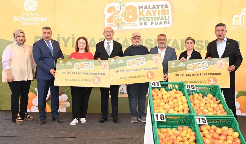 En İyi Kayısı Seçildi! Malatya'da 266 Üreticinin Yarıştığı Organizasyonda Kazananlar Belli Oldu