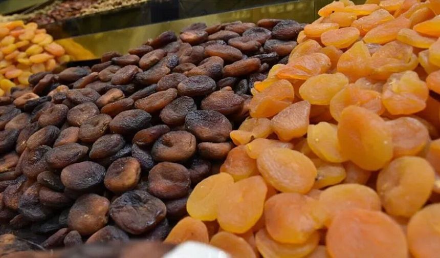 Malatya Kayısısında Tarih Belli Oldu! Gözler 1 Ağustos'a Çevrildi