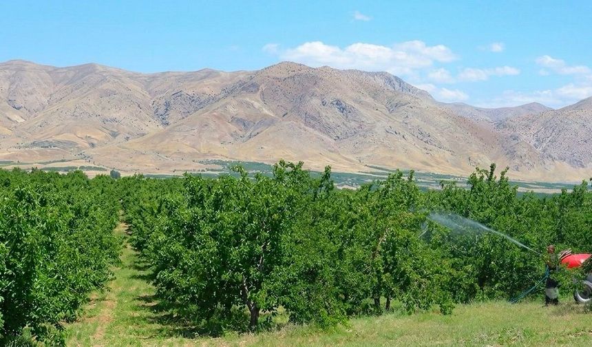 1 Temmuz itibarıyla başladı! Malatyalı çiftçiler ilaç almadan önce bunu yapmak zorunda